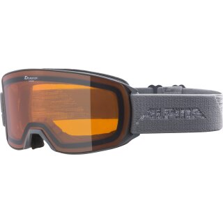 Alpina Nakiska D Skibrille