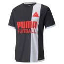 Puma Fussball Park Jersey