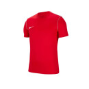 Nike Park 20 Trikot Jr.