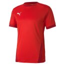 Puma teamGoal 23 Trikot