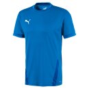 Puma teamGoal 23 Trikot