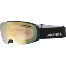 Alpina Granbby QV, Skibrille