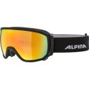 Alpina Scarabeo Q Skibrille