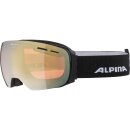 Alpina Nakiska Q Skibrille