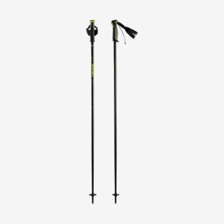 Head Frontside Skistock