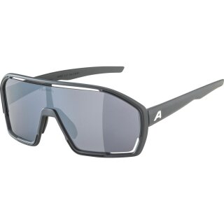 Alpina Bonfire Sonnenbrille