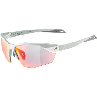 Alpina Twist Six S HR QV Sonnenbrille