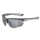 Alpina Nylos HR Sonnenbrille