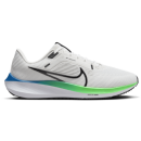 Nike Air Zoom Pegasus 40