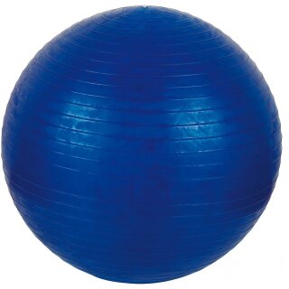 WiteBlaze Gymnastikball 55cm/900g