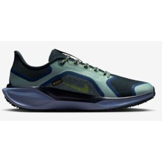 Nike Air ZM Pegasus 41 GTX