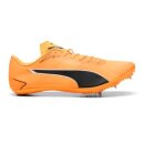 Puma evoSpeed Brush 7