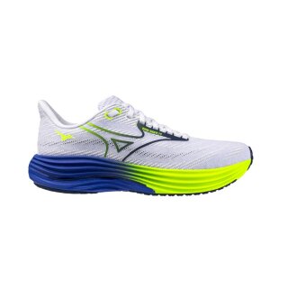 Mizuno Wave Ride 29