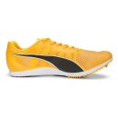 Puma evoSpeed Distance 11