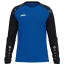Jako Longsleeve Sonic