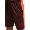 Nike DF ACD+ Short GX HBR -PD