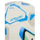 Puma Stellar Pro Futsal