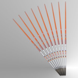 TAKEOFF 60 Wettkampfspeer, 800 g